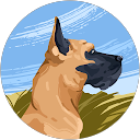 TLQ Wizard profile picture