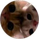 Rowan Pownall profile picture